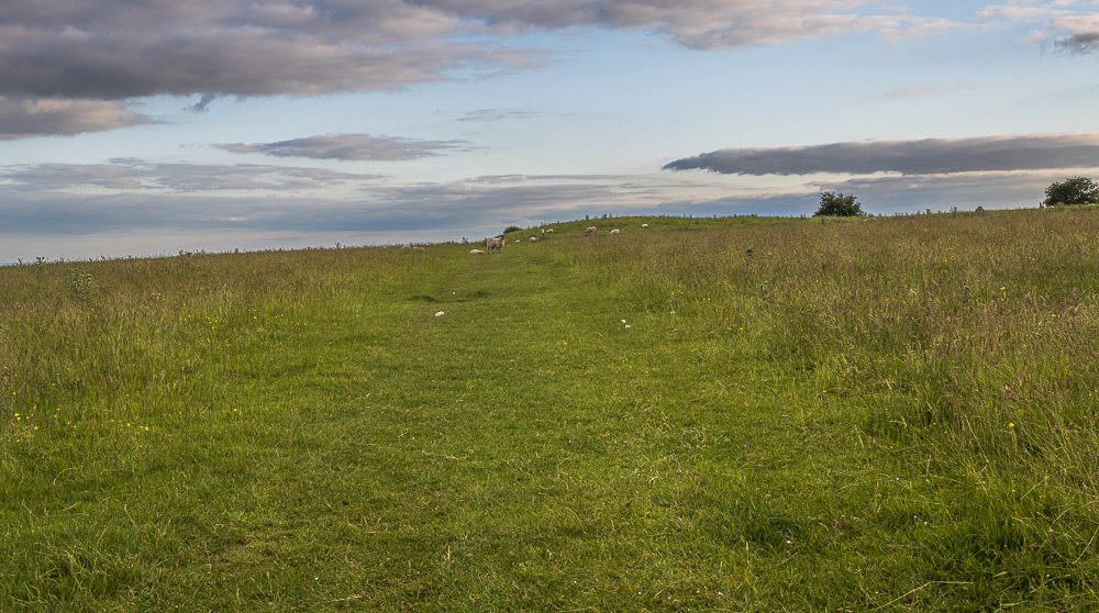 Middleton Moor Middleton Moor